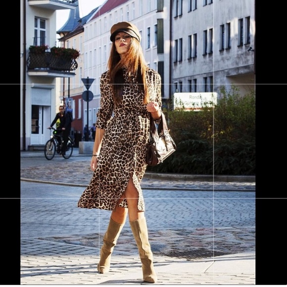 Zara Dresses & Skirts - LAST ONE! GORGEOUS ZARA NWT Animal Print Dress